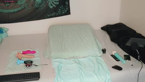 Snapshot of savethebea chatting on December 2024 04:30:01 PM Bea online show from December 2024 04:30:01 PM