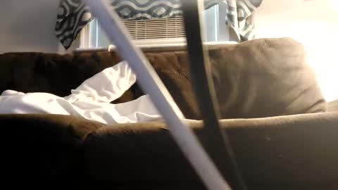 sayhi2mylilguy online show from February 2025 07:15:02 PM