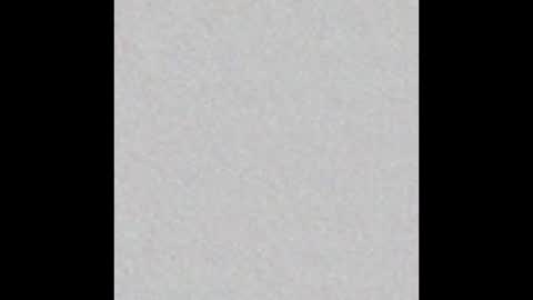 Venus online show from December 2024 02:41:02 PM