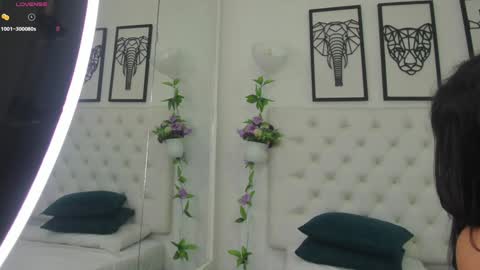 Isa online show from February 2025 11:01:02 AM