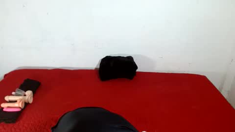 Snapshot of scarletfox__03 chatting on February 2026 05:12:01 AM Scarletfox Fox online show from February 2026 05:12:01 AM