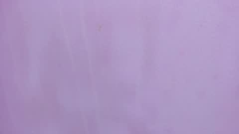 Scarlett 3 online show from February 2026 03:18:01 AM