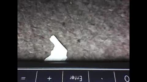 Snapshot of scots_repeater chatting on February 2025 12:09:01 AM scots_repeater online show from February 2025 12:09:01 AM