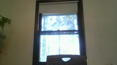 scottpbi52 online show from February 2025 07:27:02 PM