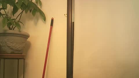 scottpbi52 online show from September 2025 08:34:02 PM