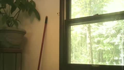 scottpbi52 online show from September 2025 03:39:02 PM