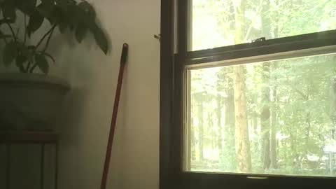 scottpbi52 online show from September 2025 05:29:02 PM