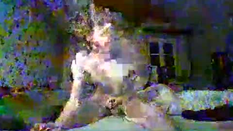 scratt67 online show from November 2025 03:38:02 AM