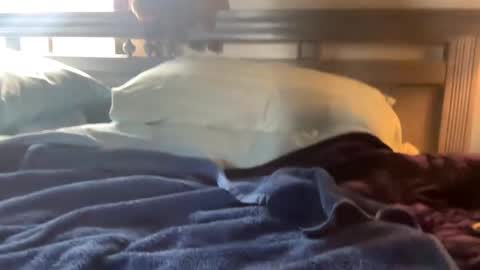 Snapshot of seaboy78 chatting on December 2024 06:26:02 PM Skylar87 online show from December 2024 06:26:02 PM