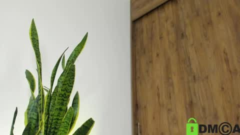 sebastian online show from April 2026 02:51:02 AM