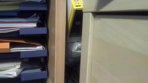 sebnours online show from September 2025 09:55:01 AM