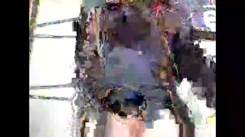 sebtin1979 online show from May 2026 11:27:02 AM