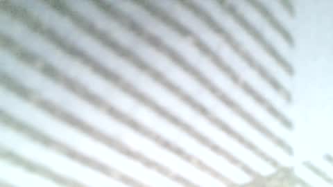 Sunny online show from March 2025 11:53:01 PM