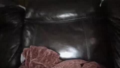 Sunny online show from January 2026 05:51:02 PM