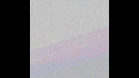 sedgeley online show from December 2025 03:21:01 PM