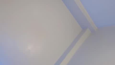 NICA online show from February 2025 02:32:02 PM