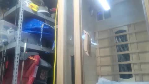 Snapshot of seeker404 chatting on October 2025 11:09:02 PM Seeker online show from October 2025 11:09:02 PM