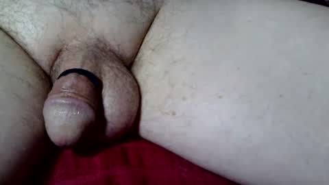 seeus24 online show from October 2025 04:10:01 AM