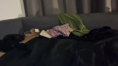 Snapshot of selfiepicdump chatting on January 2025 05:06:02 AM Julian Kinky Bi-guy online show from January 2025 05:06:02 AM