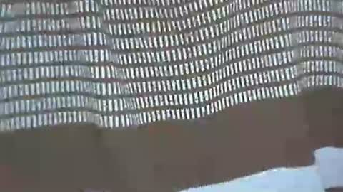 selim selim online show from November 2025 11:41:01 PM