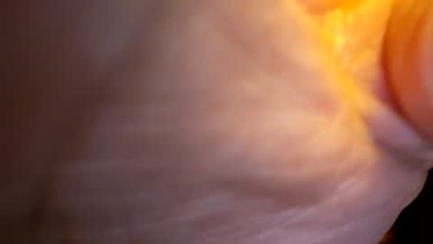 Snapshot of senor49509 chatting on November 2025 02:02:01 AM senor49509 online show from November 2025 02:02:01 AM