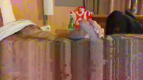 Snapshot of serialfucka69 chatting on October 2025 06:56:01 PM serialfucka69 online show from October 2025 06:56:01 PM