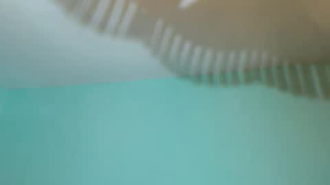 SevenDragons online show from October 2025 06:52:01 PM