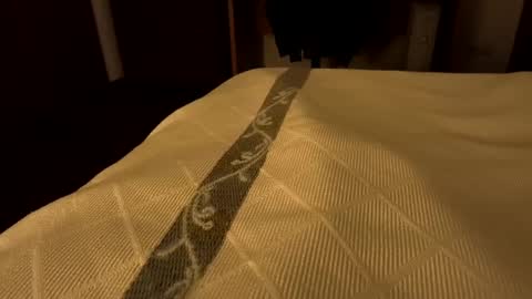 sevenorder online show from January 2025 07:51:02 AM