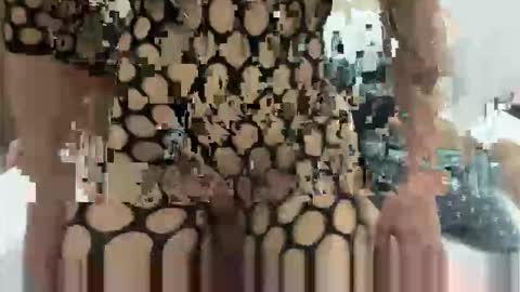 sextilyon online show from December 2025 07:55:01 PM