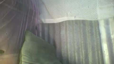 24 online show from May 2026 04:35:02 PM