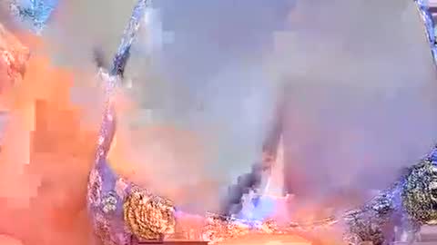 misslovely j online show from March 2025 10:45:02 AM