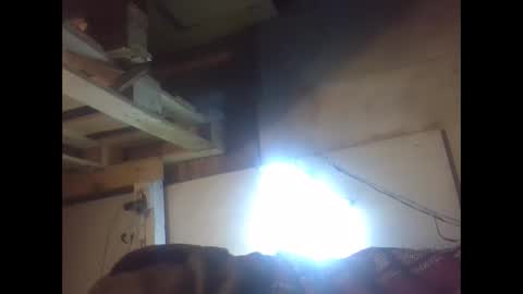 sexy15802 online show from December 2024 02:04:01 PM