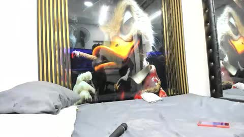 sexy78michell online show from February 2026 02:19:01 AM