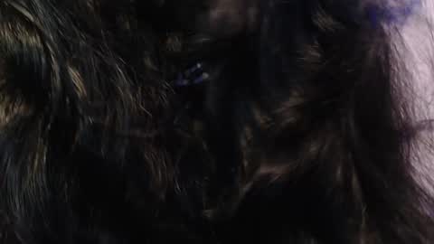 Snapshot of sexy_impact chatting on January 2025 03:33:01 AM    online show from January 2025 03:33:01 AM