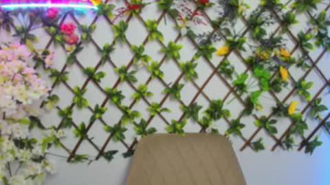 Lily online show from March 2026 03:56:01 AM