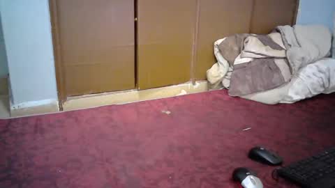 sexy_lunah online show from December 2024 02:57:02 PM