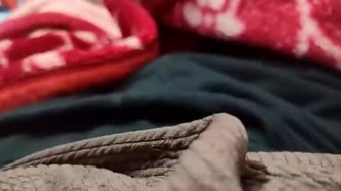 Snapshot of sexyd9913 chatting on December 2024 05:35:02 PM Sexyd online show from December 2024 05:35:02 PM