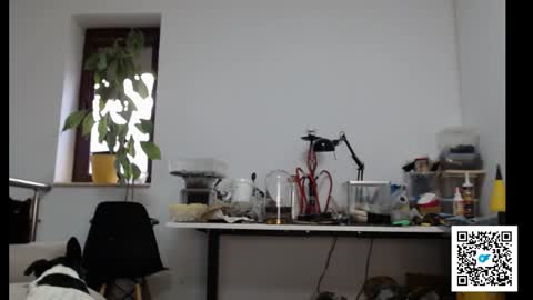 Snapshot of sexymuscle26 chatting on February 2025 02:32:02 PM Adrian online show from February 2025 02:32:02 PM