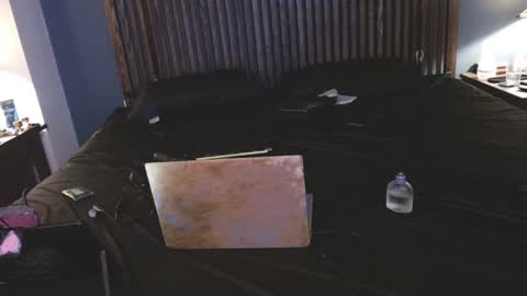 Possum online show from September 2025 03:28:01 AM