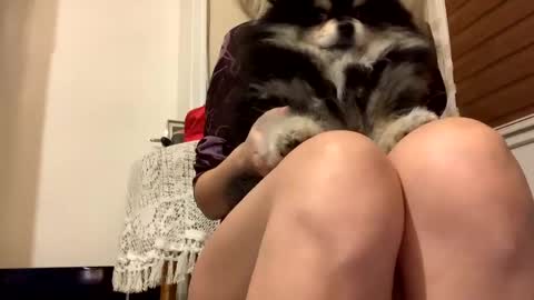 Snapshot of sexysexydream chatting on February 2025 08:13:02 PM Anya online show from February 2025 08:13:02 PM