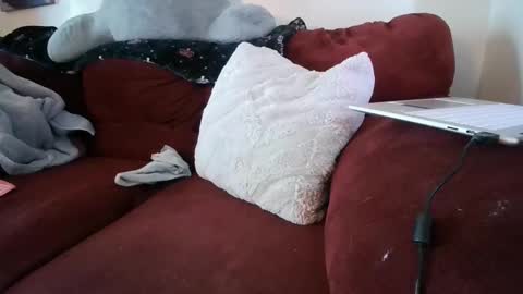 sexysulttakesit online show from April 2026 03:50:02 PM