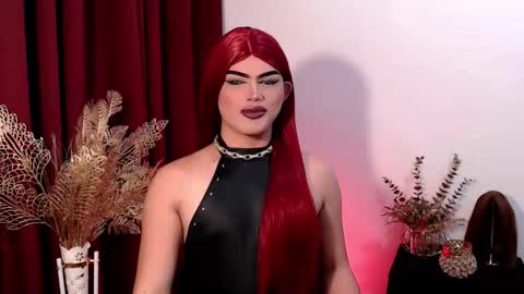 Shane X online show from February 2026 12:43:02 PM