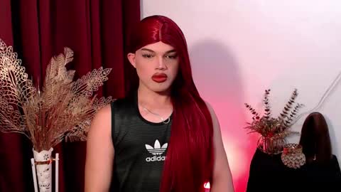 Shane X online show from February 2026 03:09:02 PM