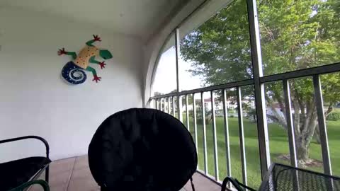 Snapshot of shannalicous chatting on January 2025 08:52:02 PM Shannon Spears online show from January 2025 08:52:02 PM