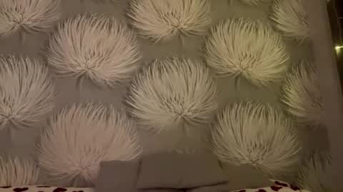 Alica online show from January 2026 08:03:01 PM