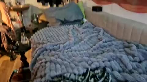 sheilasub online show from December 2025 11:48:02 AM