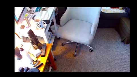 Shelaacd online show from October 2025 12:39:01 PM