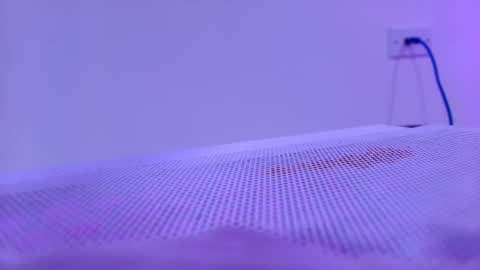 Shelsy online show from November 2025 11:57:02 AM