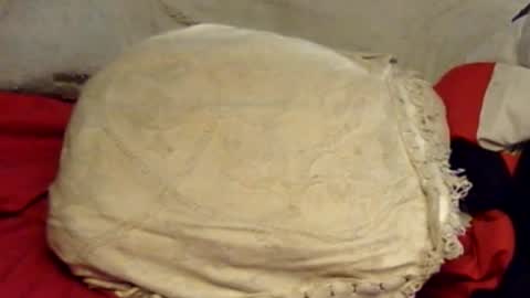 sherbearxrayghost online show from June 2026 01:57:02 PM