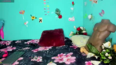 Shera Hade online show from March 2026 02:04:02 AM